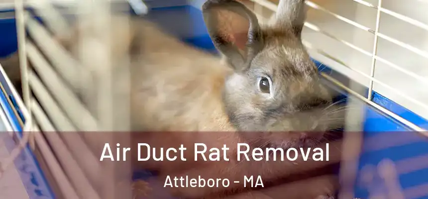  Air Duct Rat Removal Attleboro - MA