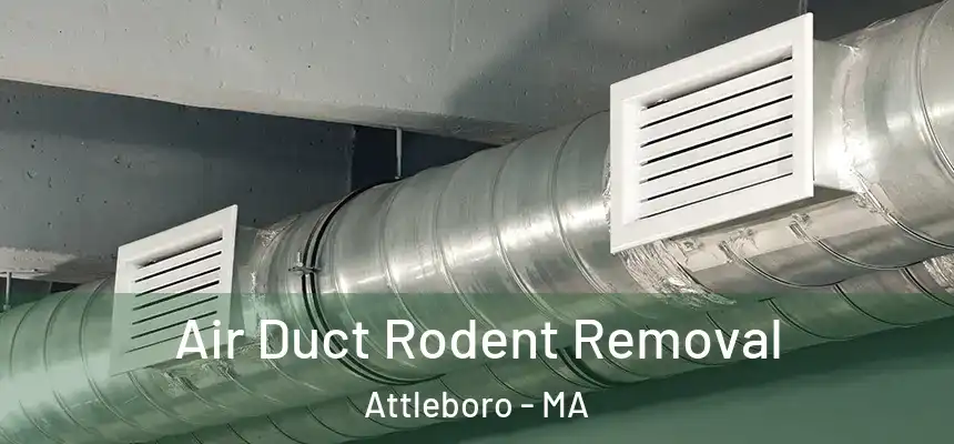  Air Duct Rodent Removal Attleboro - MA