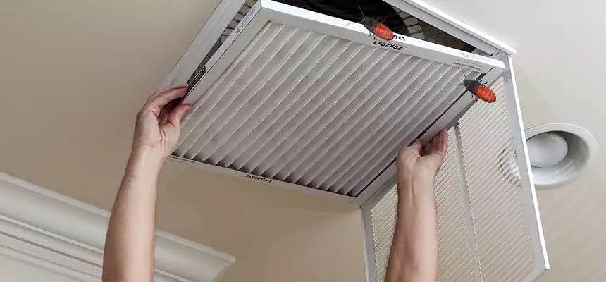 Preventive Cockroach-Proofing for Ducts in Attleboro