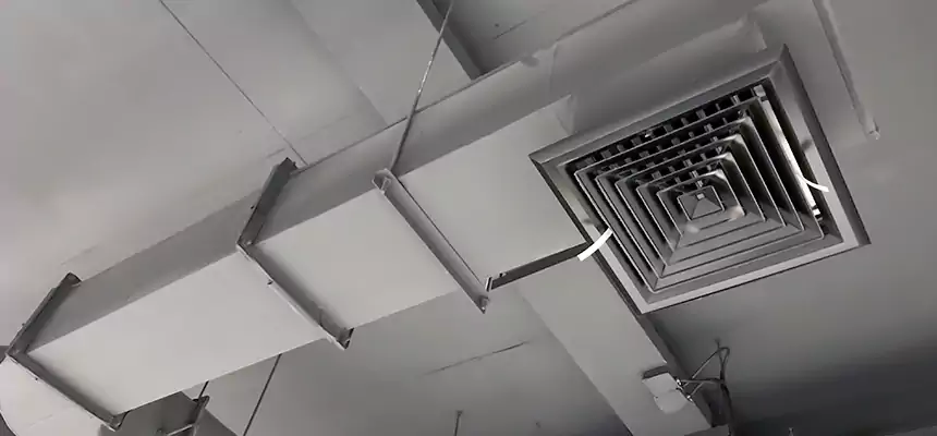 Our Pest Removal From Ducts Services in Attleboro, MA