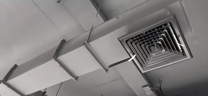 Our Rodent Droppings In Vents Services in Attleboro, MA