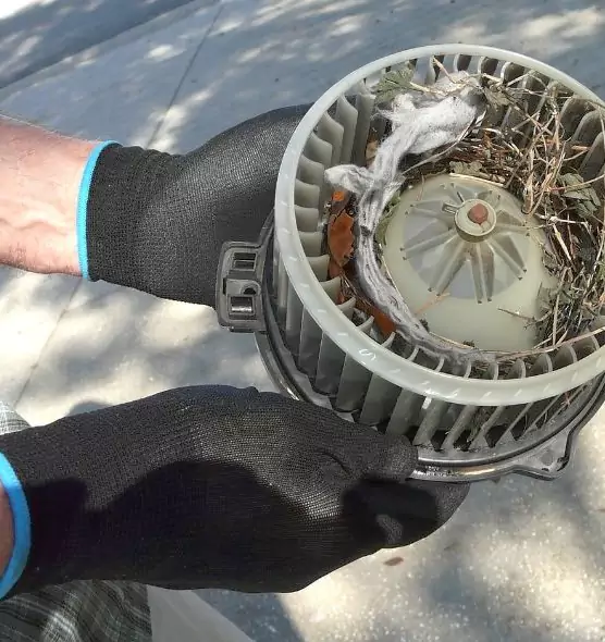 About Air Duct Mice Removal in Attleboro, MA