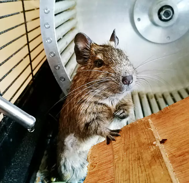 Why Homeowners & Businesses Trust Us Attleboro, MA